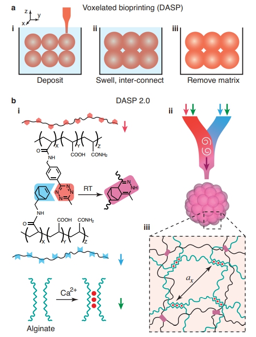 Bioinks and 3D Printing